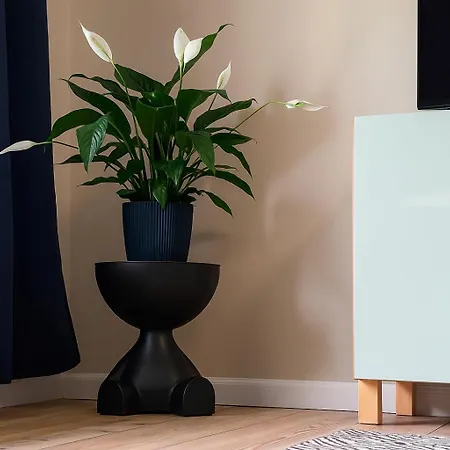 Sonnenterrasse & 2 King-size Dz - Citynah & Ruhig Apartament