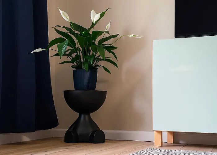 Sonnenterrasse - Kostenfreier Parkplatz - Ruhig & Citynah Lägenhet