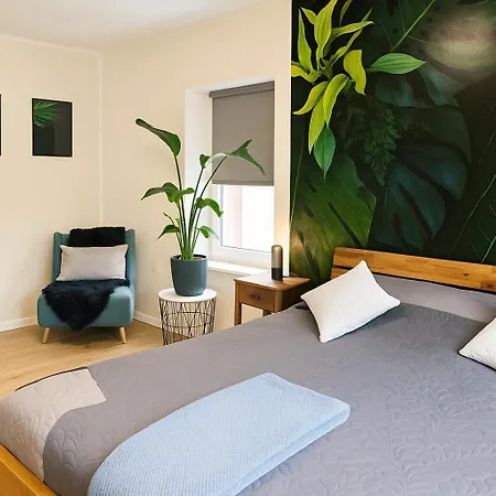 Sonnenterrasse&2 King-size Dz - Citynah&ruhig Apartment