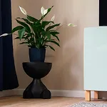 Sonnenterrasse - Kostenfreier Parkplatz - Ruhig & Citynah Апартаменты